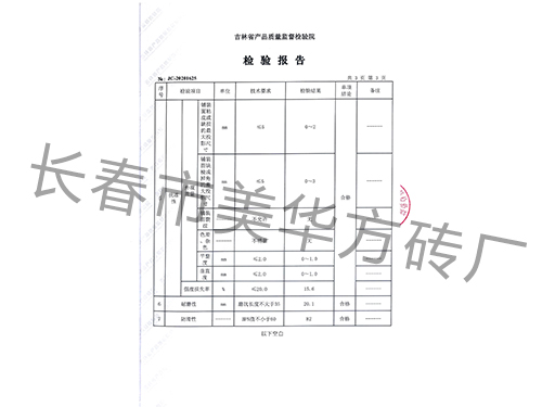 检验报告